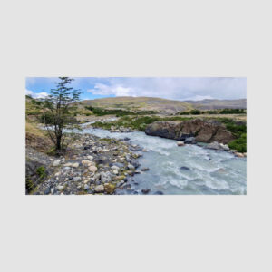 Tuinposter - 150 x 80 cm - ringen om de 30 cm
